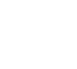 Web-IP Icon